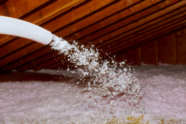 Best Commercial Insulation in Denton, NC